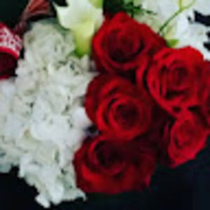 Meet your Posher, Jcal